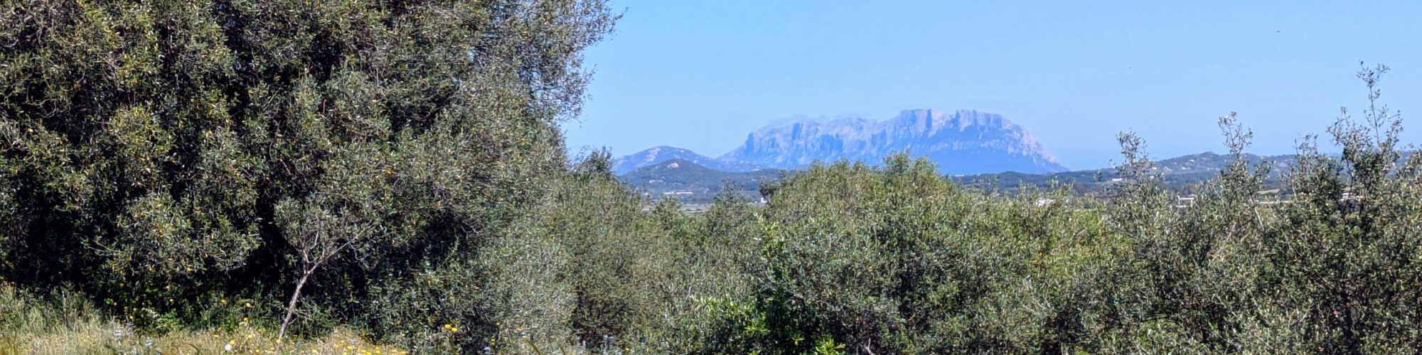 giardino 1